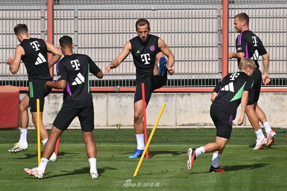 跨性别运动 跨性别运动